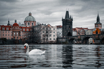 charles bridge
