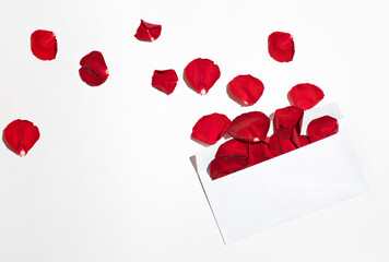 White envelope full of petals of red roses on a light background. Minimal romantic composition. Flat lay. Love concept.
