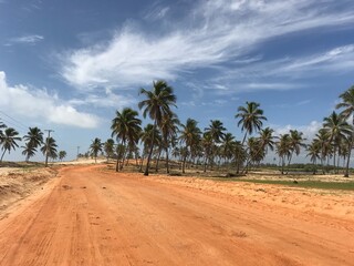 Mangue seco - Bahia