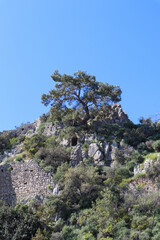 Fototapeta na wymiar ancient fortification of the city Olympos on the mountain near Cirali village in Turkey
