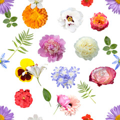 Floral seamless background with different flowers on white backdrop