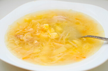 Soup with cabbage and meat. Russian traditional dish
