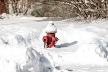 Fire Hydrant in Snow