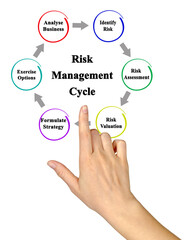 Components of Risk Management Cycle