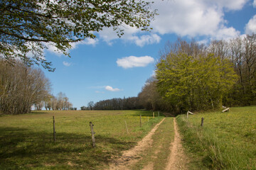 Obraz premium paysage de campagne dans le Brionnais en Saône-et-Loire en France au printemps