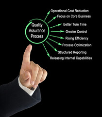 Components of Quality Assurance Process