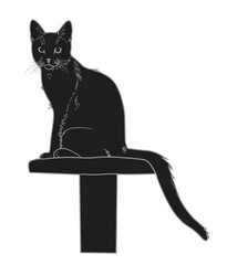 Black cat sits on a pedestal