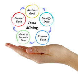  Five Components of Data Mining