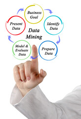  Five Components of Data Mining
