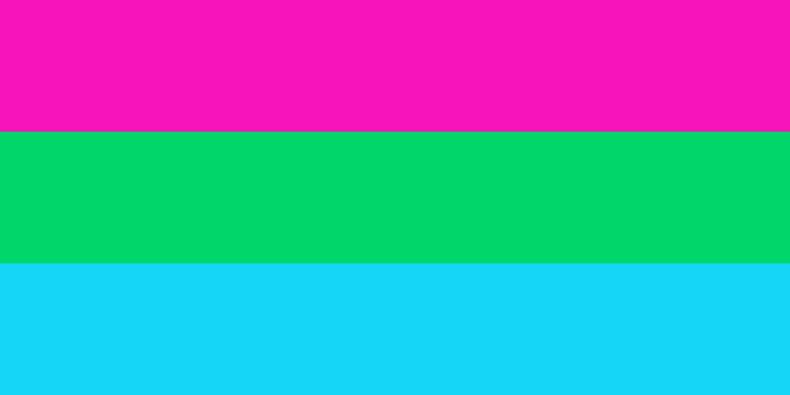 Polysexual Pride Flag. LGBT sexual minority.