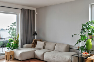 Comfortable grey sofa with pillows in stylish interior of living room with window. Wooden chair and green plant in room in apartment. Empty wall interior.