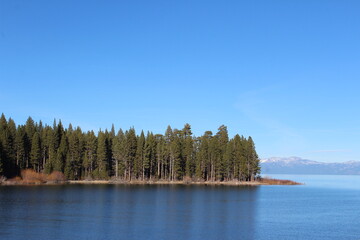 Forest and Lake Scene