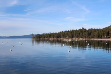 Lake Tahoe Coastline