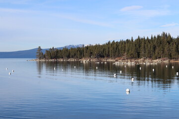 Lake Tahoe Coastline