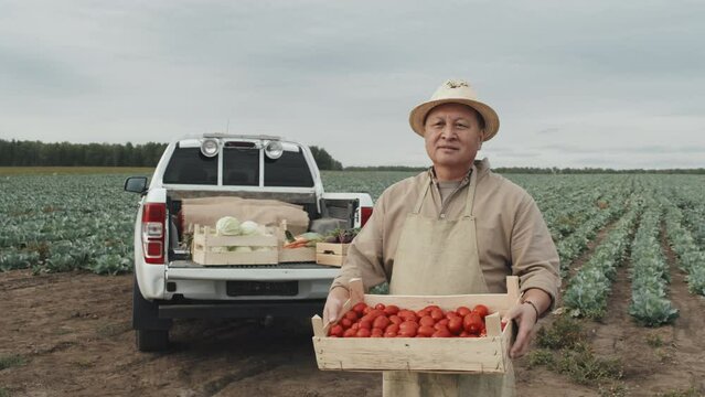Portrait shot footage of mature Asian farm worker holding wooden box full of fresh ripe red tomatoes looking at camera