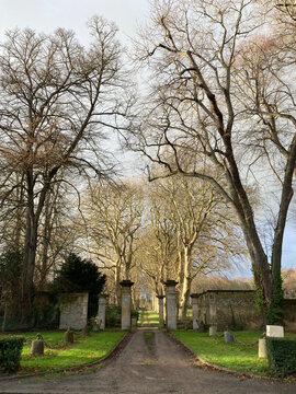 Lindenallee, Normandie