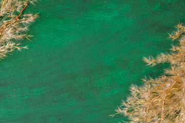 Green watercolor background, reeds and golden branches. Banner. Layflat. Space for text 