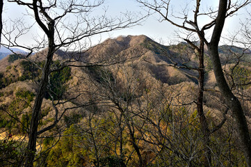 道志山塊の鶴島御前山より朝日の高柄山
