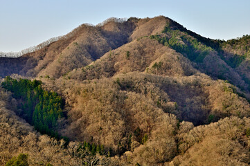 道志山塊の鶴島御前山のハサミ岩より朝日の高柄山
