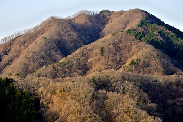 道志山塊の鶴島御前山より朝日の高柄山
