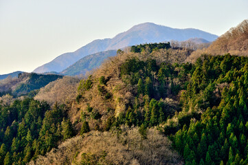 Fototapeta na wymiar 道志山塊の鶴島御前山より丹沢の大室山を望む 
