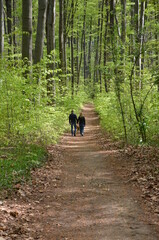 couple in love walks through the forest. the man and the woman walk with their dog along the forest path