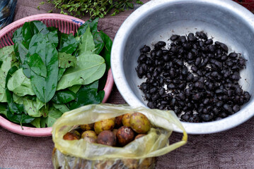 Bowls of edible beetles and herbs in the street market in Laos