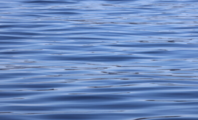 Naklejka premium ripples in water