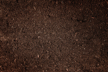dark brown soil background, top view