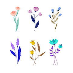 Hand drawn spring flower collection isolated on white background.
