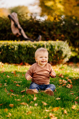 a cute little blonde boy in a brown sweater on a green lawn with autumn leaves. 