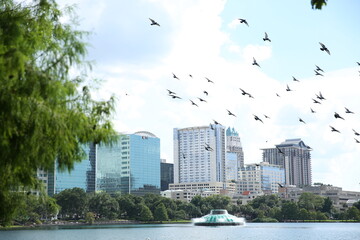 orlando florida skyline