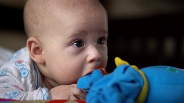 Newborn Active Baby Cute Smiling Teethless Face Portrait Early Days On Stomach Developing Neck Control. 5 Months Child In Playpen Gnaws Toys Look At Camera. Infant, Childbirth, Beginning Concept