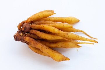 Finger root on a white background.