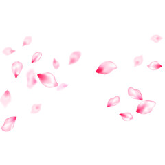 Spring tree flowers parts, airy flying petals