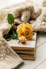 Fototapeta na wymiar Cozy morning. Yellow rose on an open book and a warm sweater on a wooden table. Romantic atmosphere. Lifestyle.