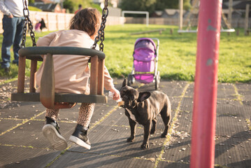 A toddler sitting on a swing lets a dog lick her cream cone in a public play park in a sunny day in Edinburgh, Scotland, United Kingdom
