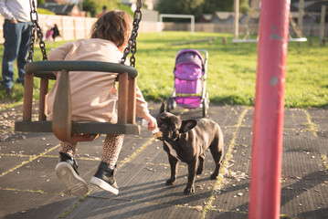 A toddler sitting on a swing lets a dog lick her cream cone in a public play park in a sunny day in...