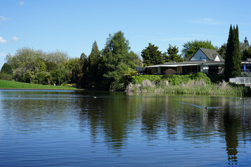 Fototapeta na wymiar Turtle Lake within Hamilton Gardens, New Zealand