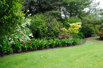 Fototapeta na wymiar Hammond Camellia Garden in Hamilton Gardens, New Zealand