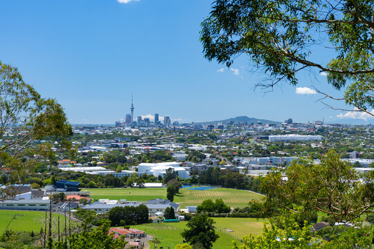 View of Auckland Central from the suburb of Mt Eden