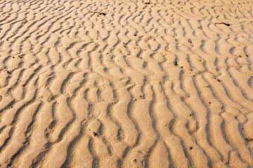 Warm sand texture on a beach, Abstract design background.