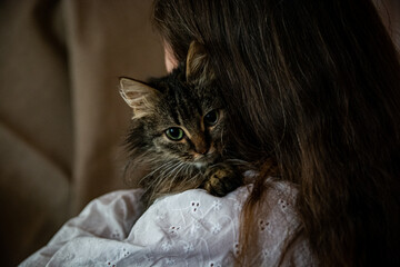 
Cat in the arms of the mistress