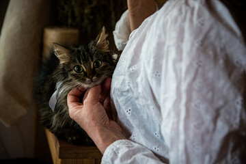 
Cat in the arms of the mistress