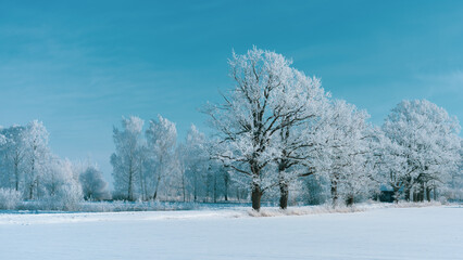 Winter landscape with frosty trees und bright blue sky