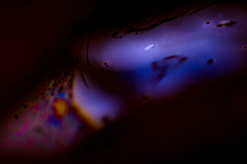 Macro Bubble Surface 12