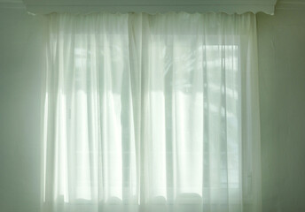 palm tree silhouette through the curtains