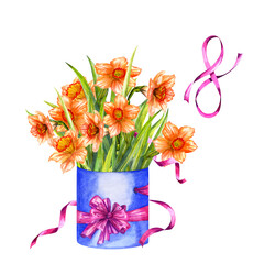 Bouquet of watercolor narcissist, illustration. Hat box and satin ribbons.
