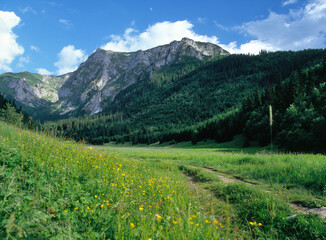 Tourist trail in The Little Meadow Valley - Dolina Malej Laki (Dolina Ma³ej £¹ki), the Tatra (Tatry) Mountains, Poland