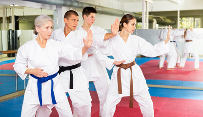 Women and men of different ages doing kata during group karate training.